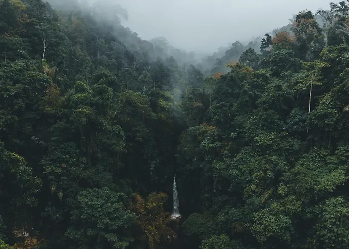 Campo de lujo Pelaga Eco Park