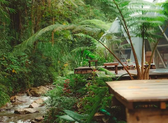 Campo de lujo Pelaga Eco Park Patjung